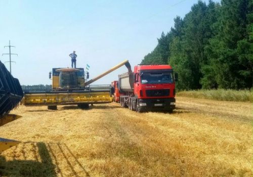 В Кармаскалинском районе заканчивается уборка озимых культур, аграрии переходят на яровые